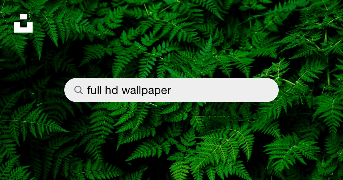 1500+ Full Hd Wallpaper Pictures  Download Free Images on Unsplash
